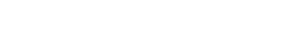 light logo